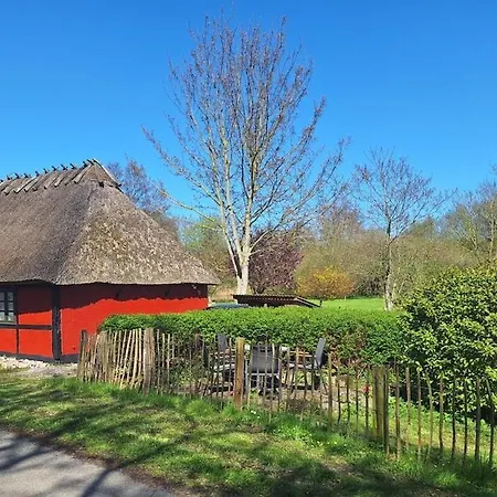 Cozy Ferienhaus *